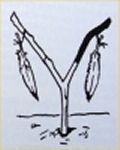 Shaman's Prayer Stick