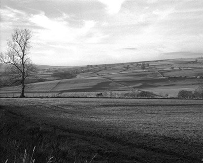 Copyright 2002 Ian Geering from his book Foot and Mouth Disease - The Aftermath - www.stress-counselling.co.uk/aftermath.htm