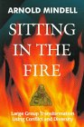 Photograph of Sitting in the Fire by Arnold Mindell