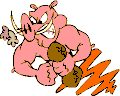 Fighting and Aggression in pigs and humans - Conflict Management skills and strategies